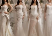 NEW COLLECTION 2026