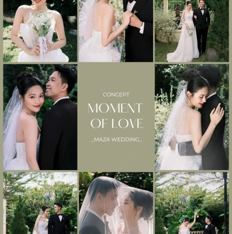 ALBUM NGOẠI CẢNH WILL GARDEN