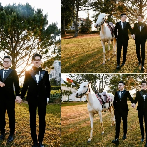 ALBUM CƯỚI ĐÀ LẠT
