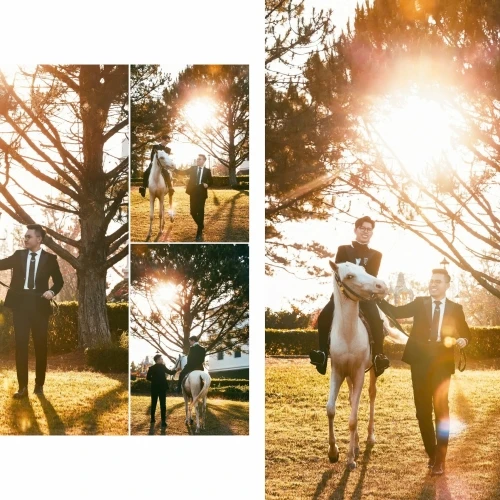 ALBUM CƯỚI ĐÀ LẠT