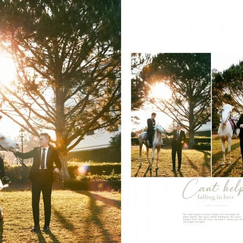 ALBUM CƯỚI ĐÀ LẠT