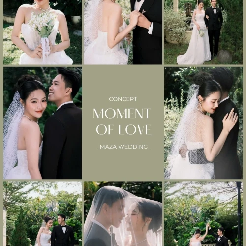 TỔNG HỢP ALBUM NGOẠI CẢNH