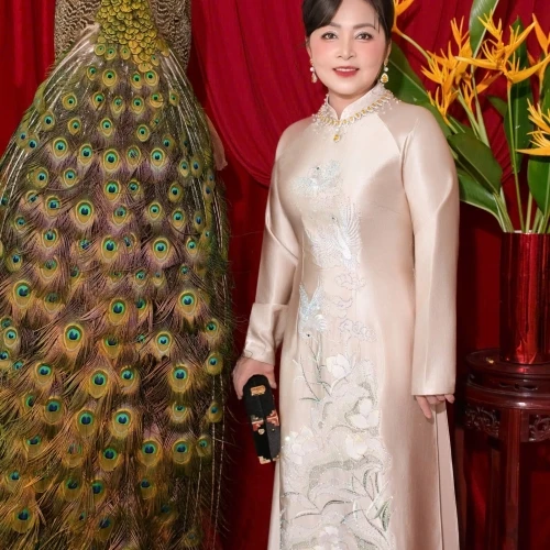ALBUM ÁO DÀI SUI