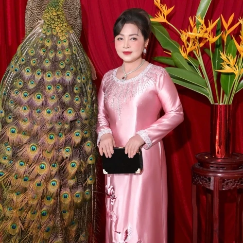ALBUM ÁO DÀI SUI