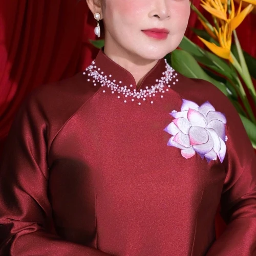 ALBUM ÁO DÀI SUI