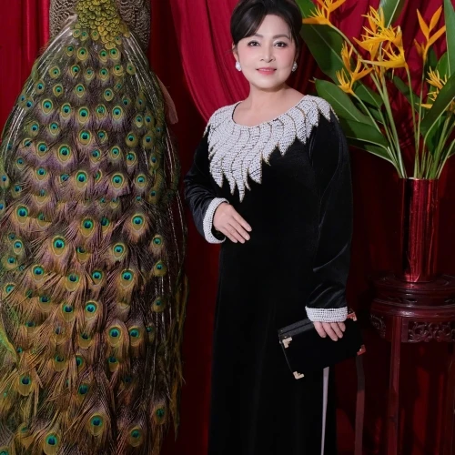 ALBUM ÁO DÀI SUI