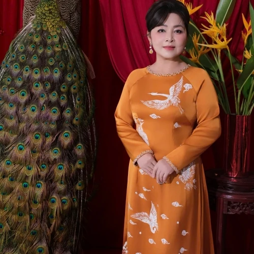 ALBUM ÁO DÀI SUI