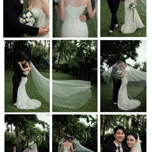 TỔNG HỢP ALBUM NGOẠI CẢNH